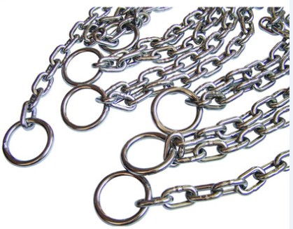 Stainless Steel Pump Chain