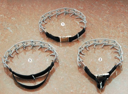 Spike Collar
