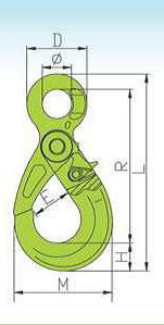 G100 EUROPEAN TYPE EYE SELF-LOCKING HOOK